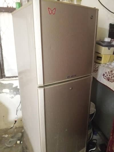 fridge peL refrigerator
