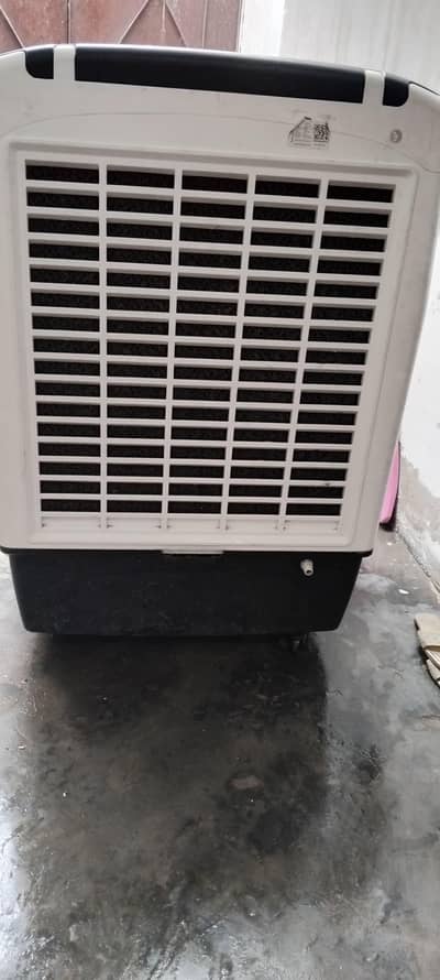 royal room cooler