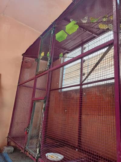 bahut achcha heavy duty pinjra gauge full size and parrot be ha