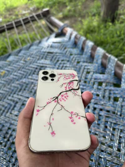 Apple iPhone 12 Pro