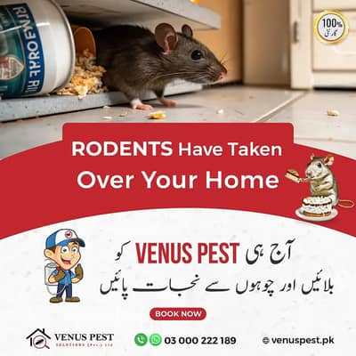 Rats Controls, Fumgation spray, dengue spray, Pest control Services