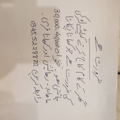 COOK/MAID WANTED