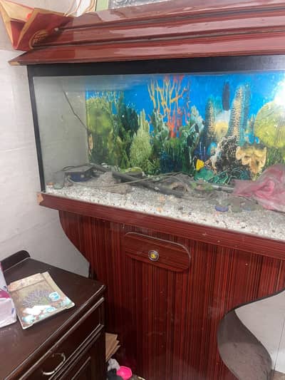 aquarium