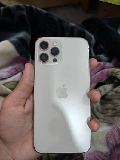 Apple iPhone 12 Pro Max