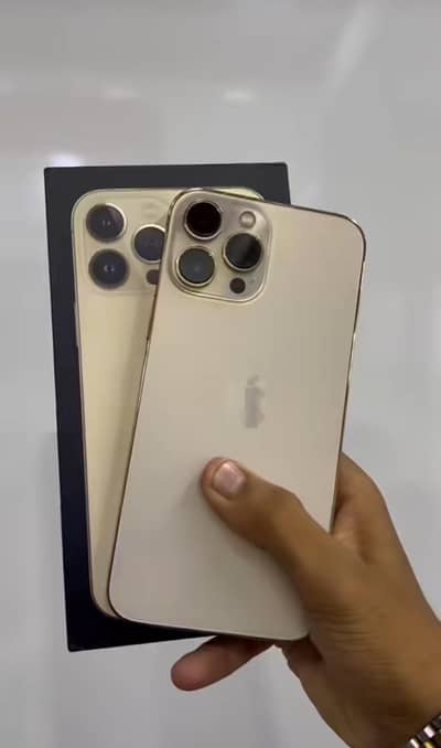 Apple iPhone 13 Pro Max 256 GB mein official PTI pro 10 by 10