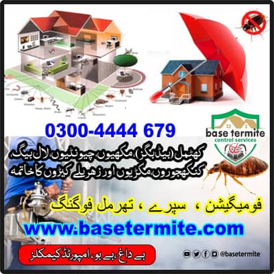 Pest & Deemak control,Termite Proofing & Rodent Control Treatment