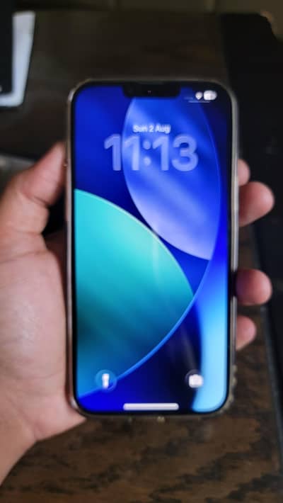Apple iPhone 13 Pro Max