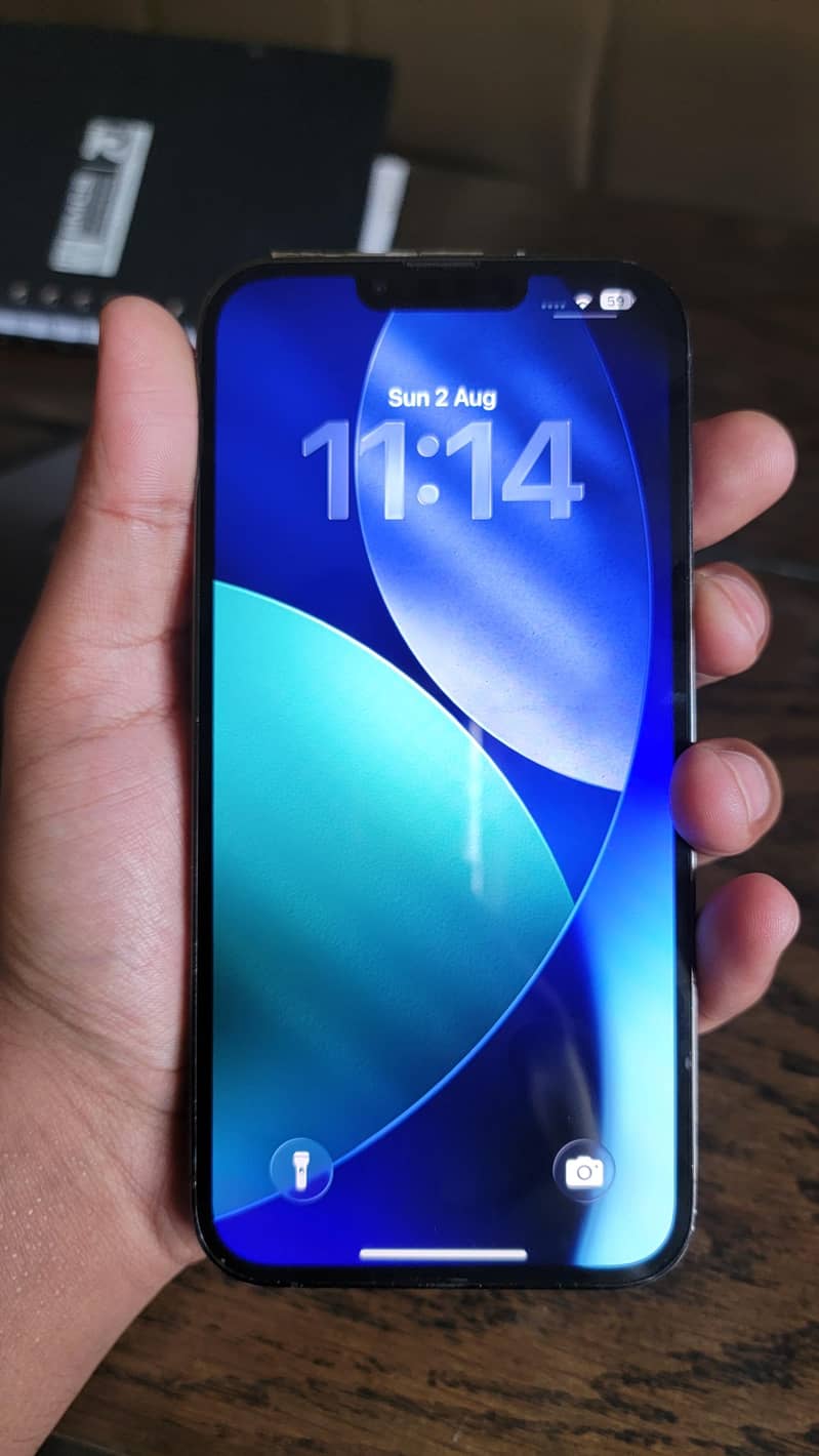 Apple iPhone 13 Pro Max 1