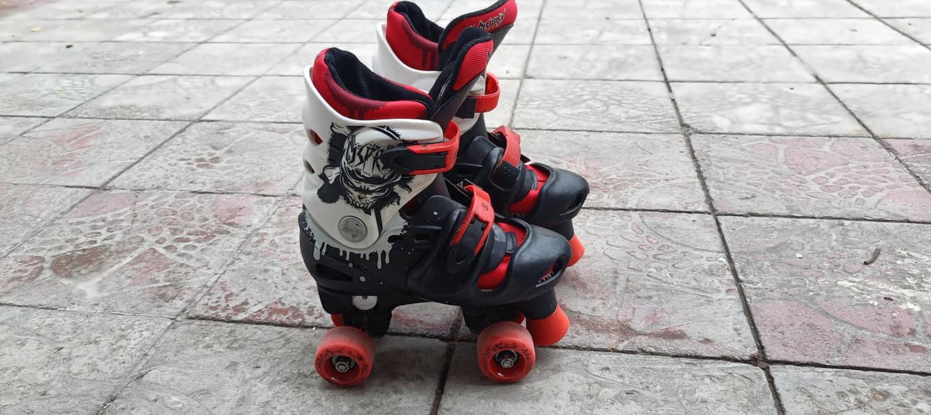 Skating Shoes (Adjustable) 0