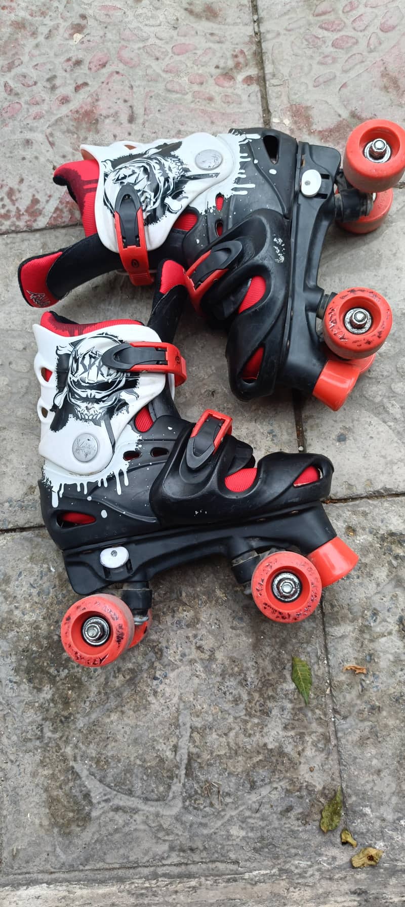 Skating Shoes (Adjustable) 2
