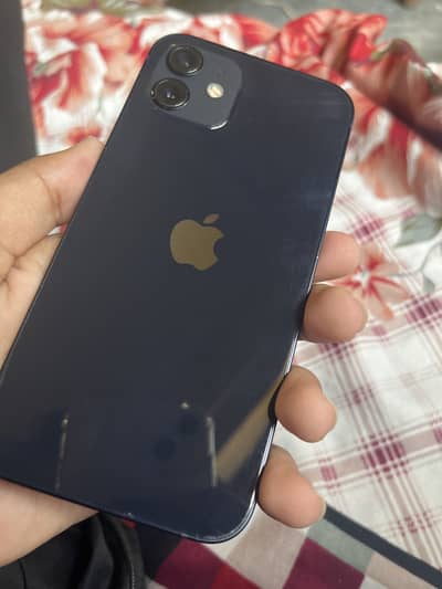 Apple iPhone 12
