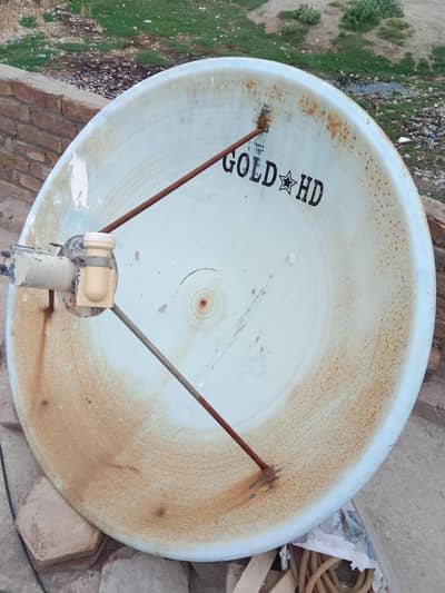 dish  altna
