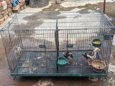 cocktail cage 3x 1.5
