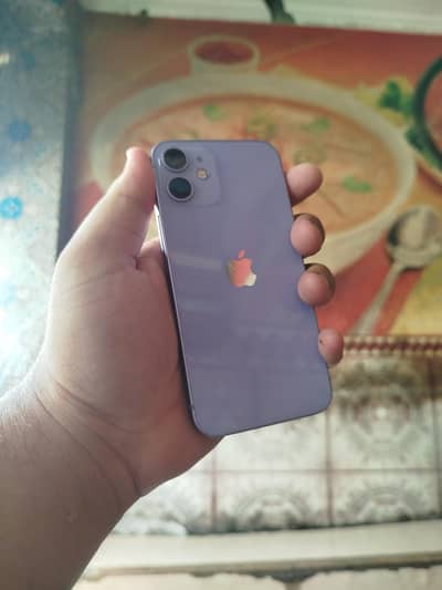 Apple iPhone 12 mini