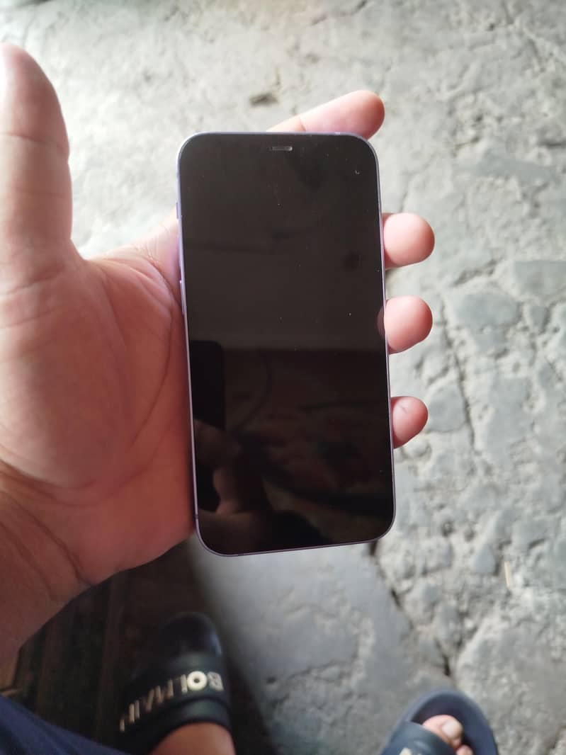 Apple iPhone 12 mini 1