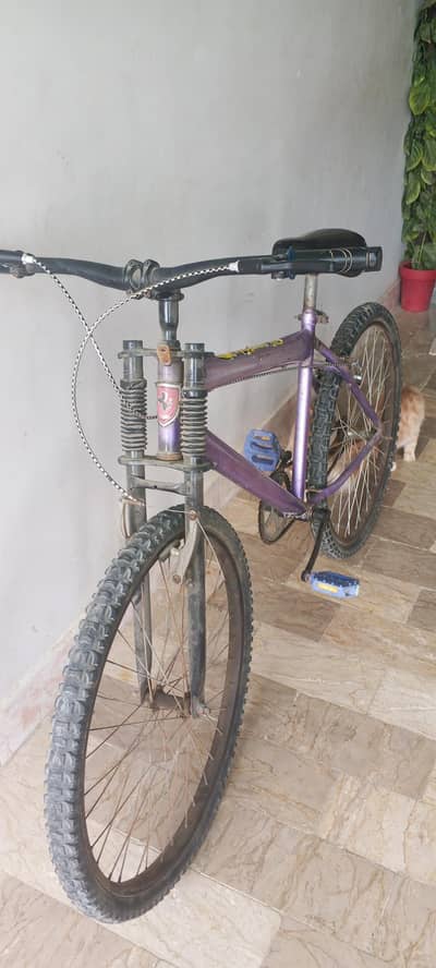 purple colour ki cycle big size hai