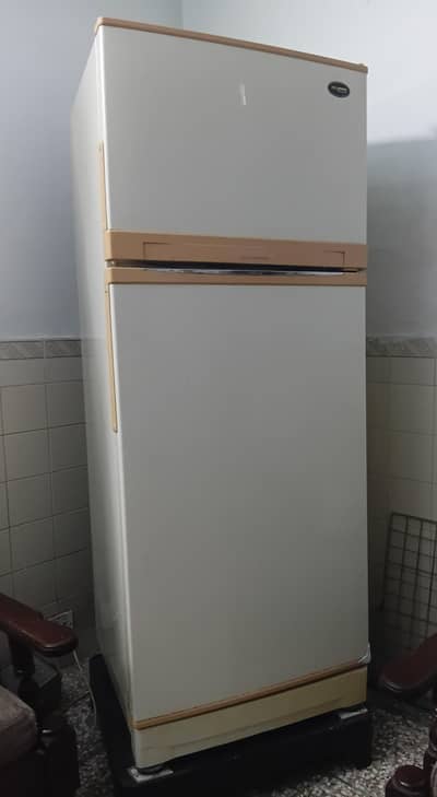 Pel Fridge With freezer