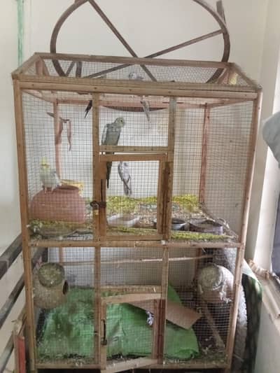 Large size Cage