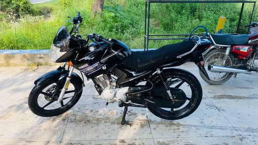 Yamaha YBR 125 2017