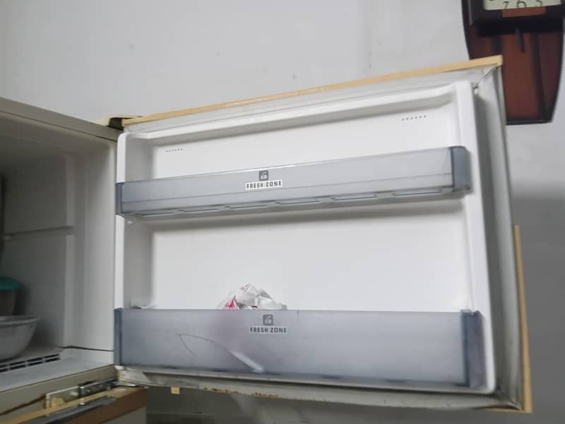 Pel fridge 1