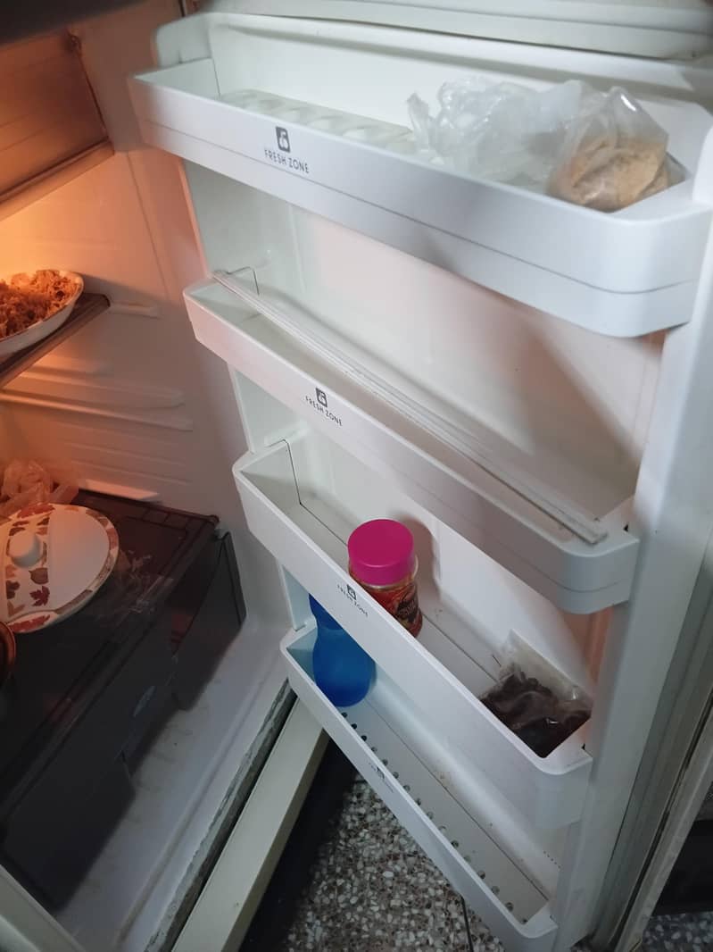 Pel fridge 2