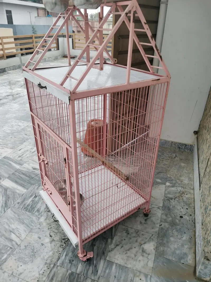 Brand new cage for macow and gray bird ao all kind of parrots — photo 2