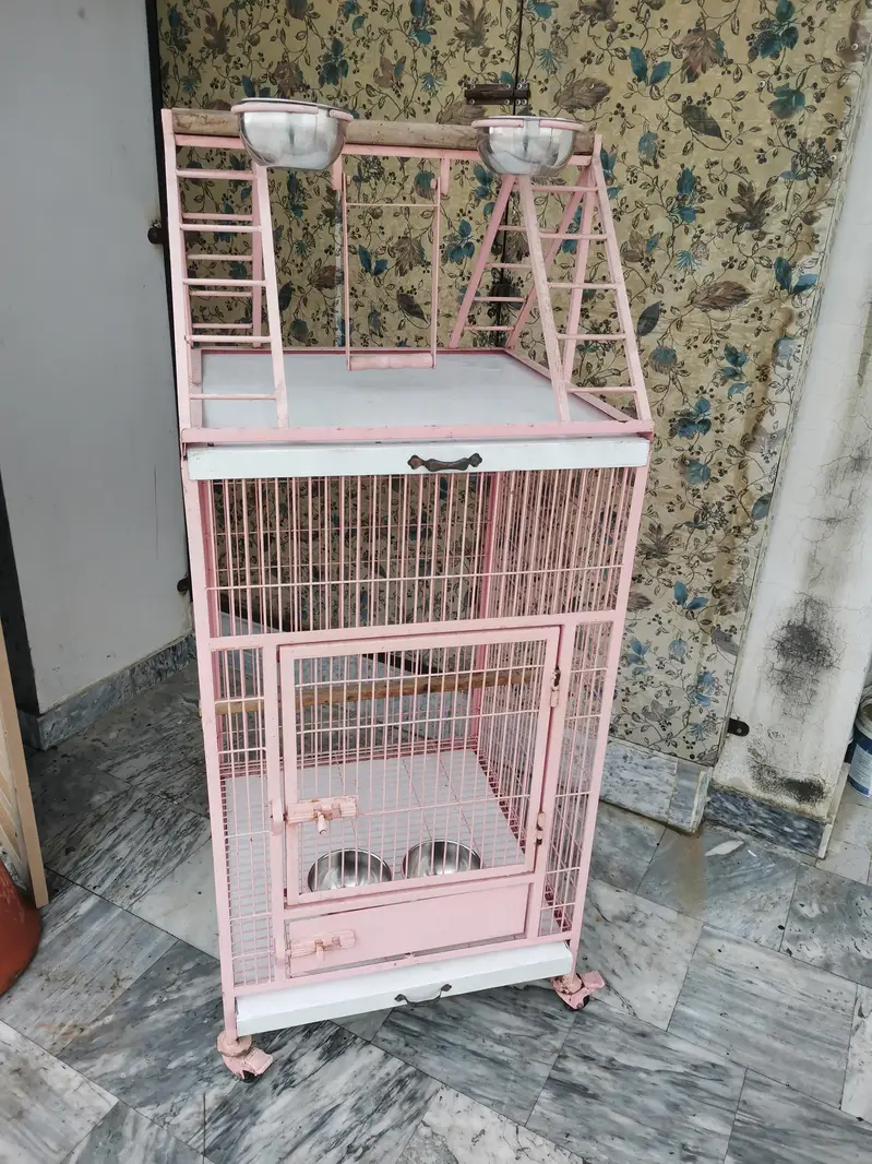 Brand new cage for macow and gray bird ao all kind of parrots — photo 3