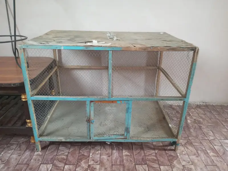 cages is large hens and parrots — photo 2