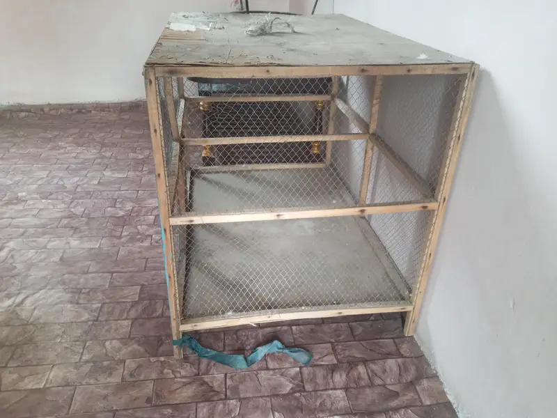 cages is large hens and parrots — photo 3