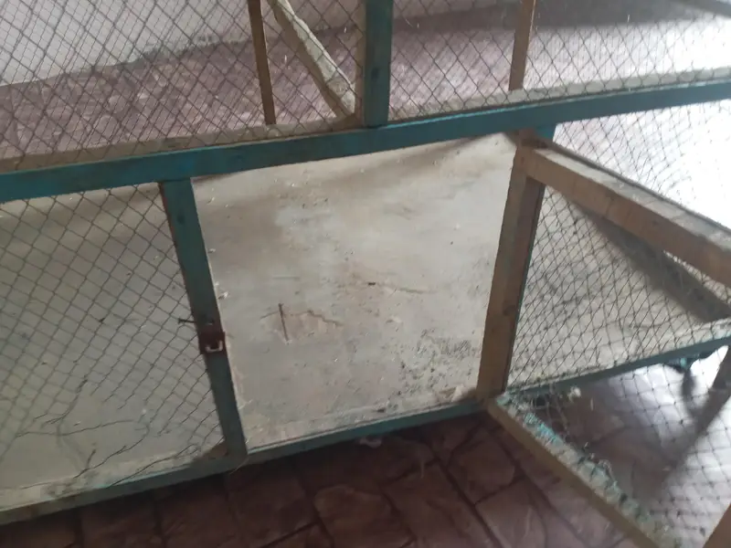 cages is large hens and parrots — photo 6