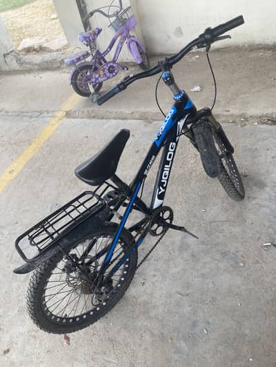 Bycycle with rear gears.