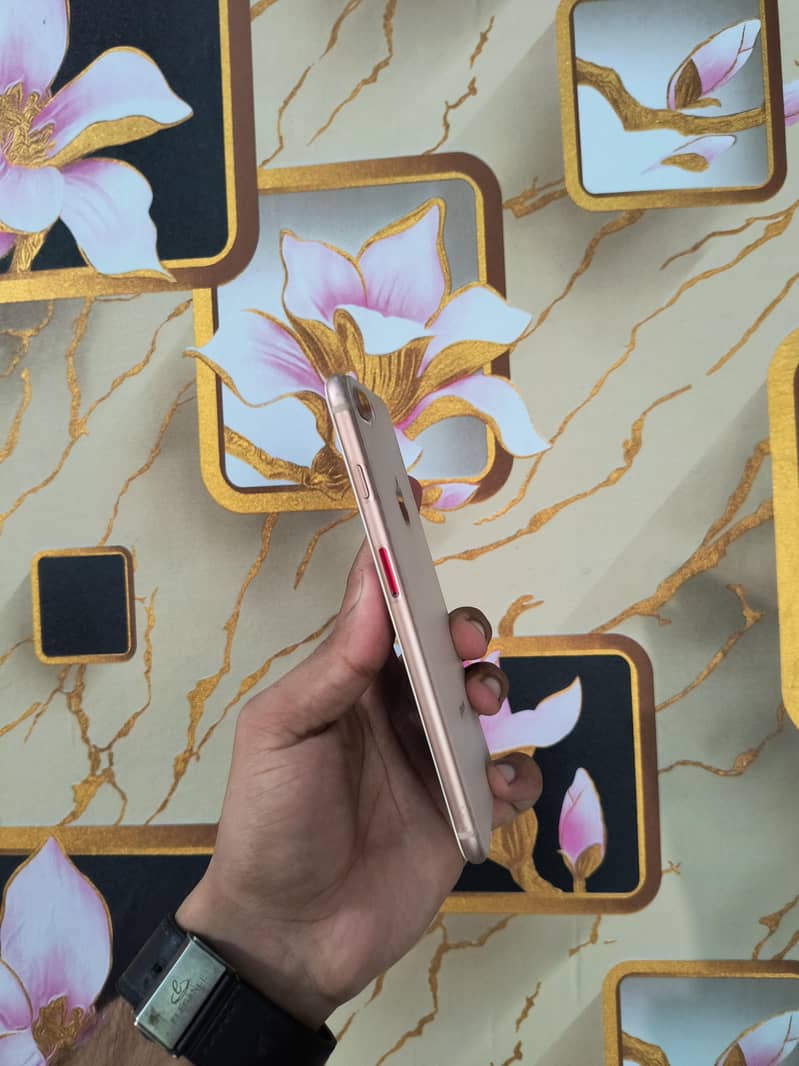 Apple iPhone 8 Plus 1