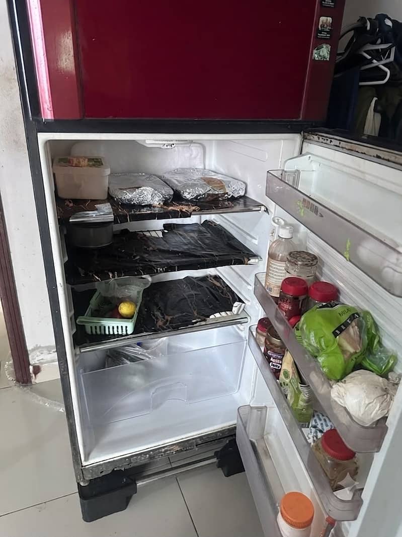 Frige 2 door 1