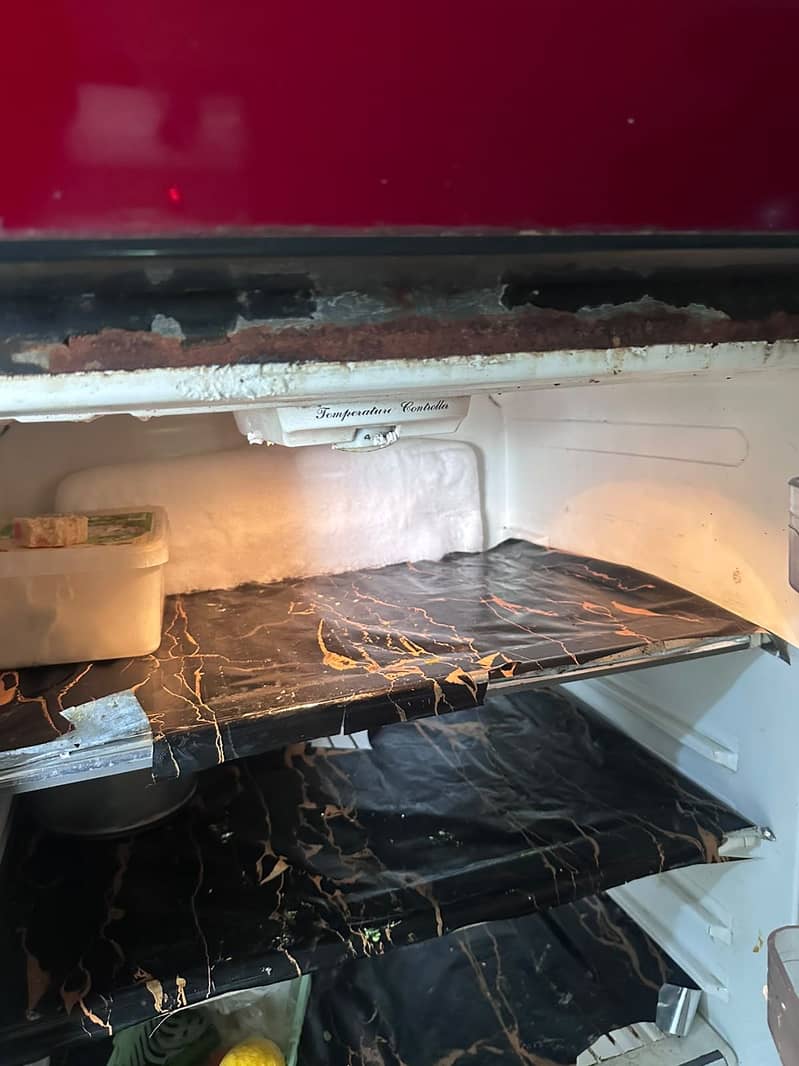 Frige 2 door 2