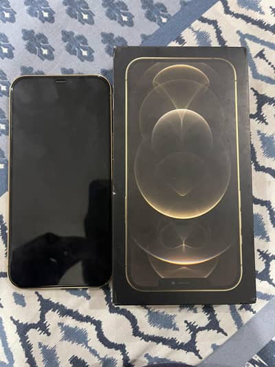 Apple iPhone 12 Pro Max