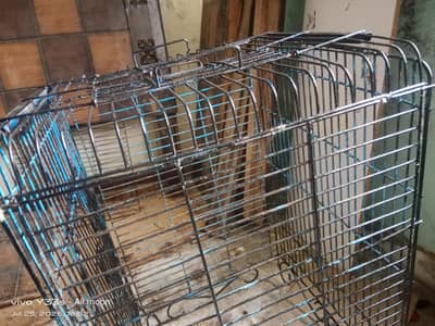 row parraot cage
