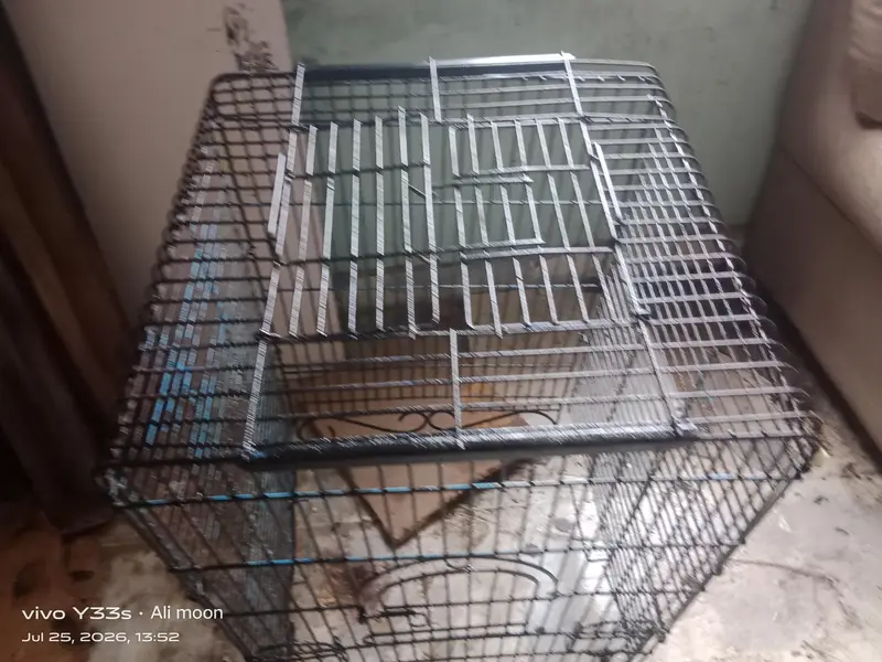 row parraot cage — photo 5