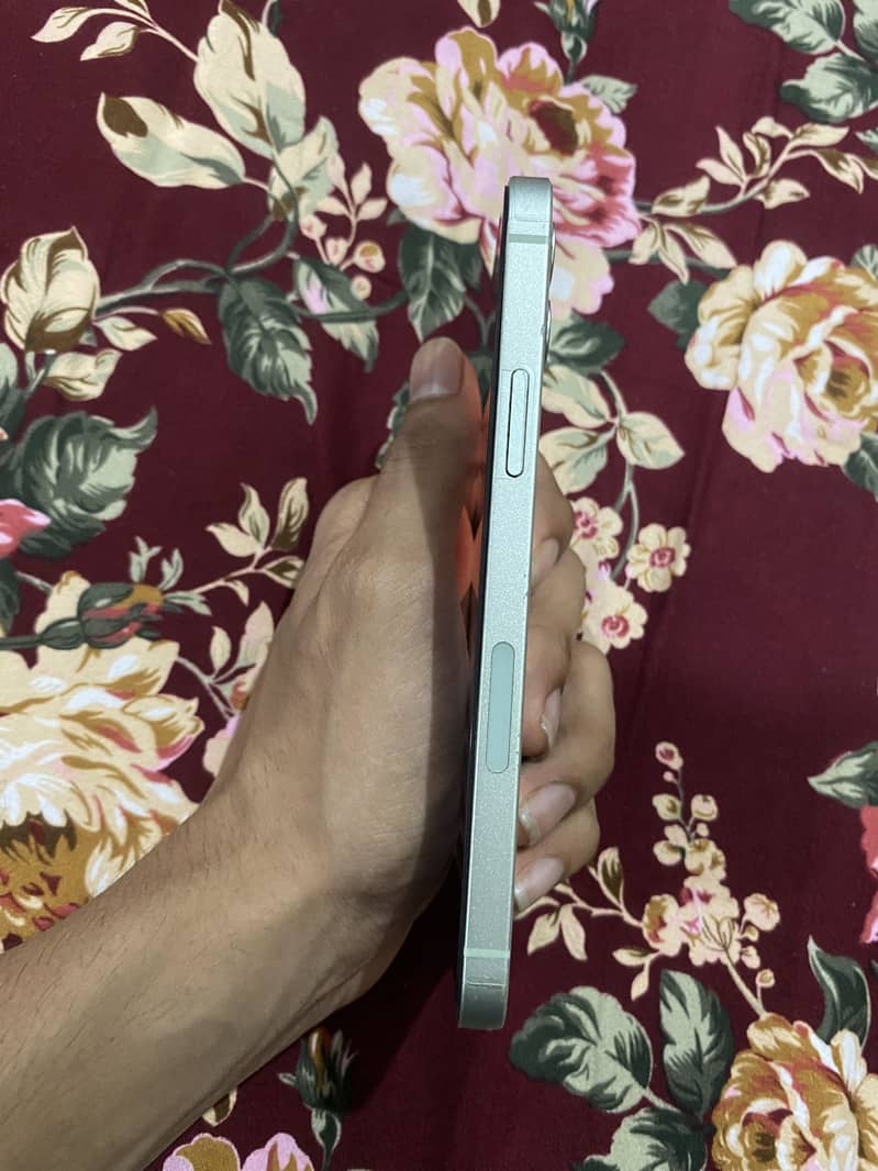 Apple iPhone 12 1