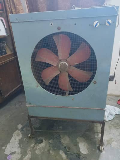 coler colar with stand