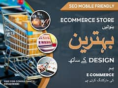 Web Developer WordPress Website Shopify Development SEO-Friendly 0