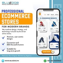 Web Developer WordPress Website Shopify Development SEO-Friendly 2