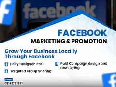 Web Developer WordPress Website Shopify Development SEO-Friendly 3