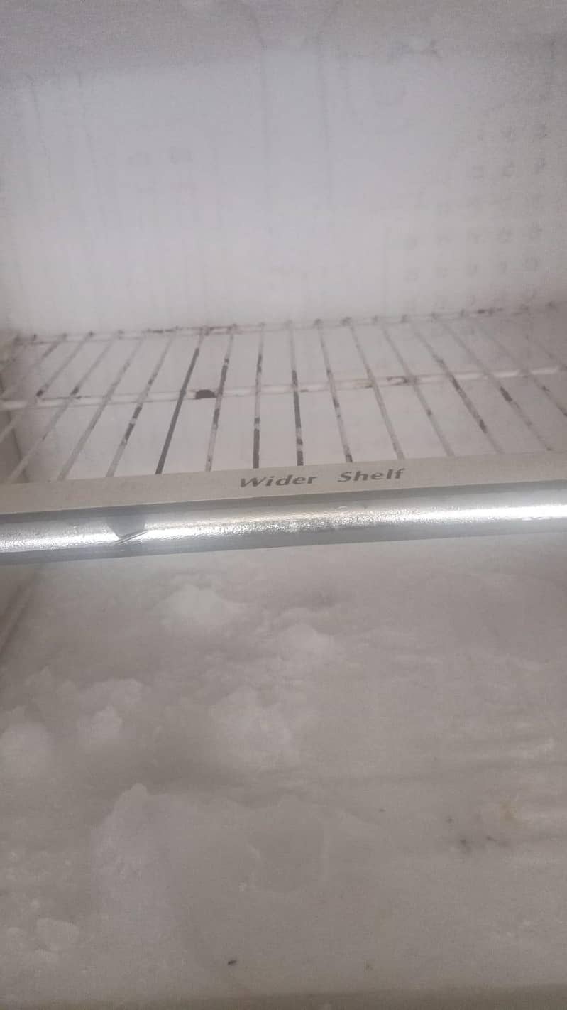 freezer 4