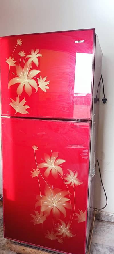 Orient glass door refrigerator