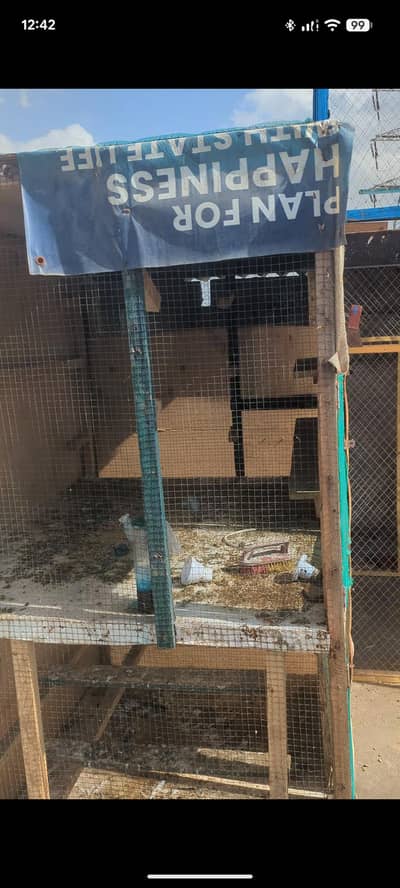 pigeon cage for sale