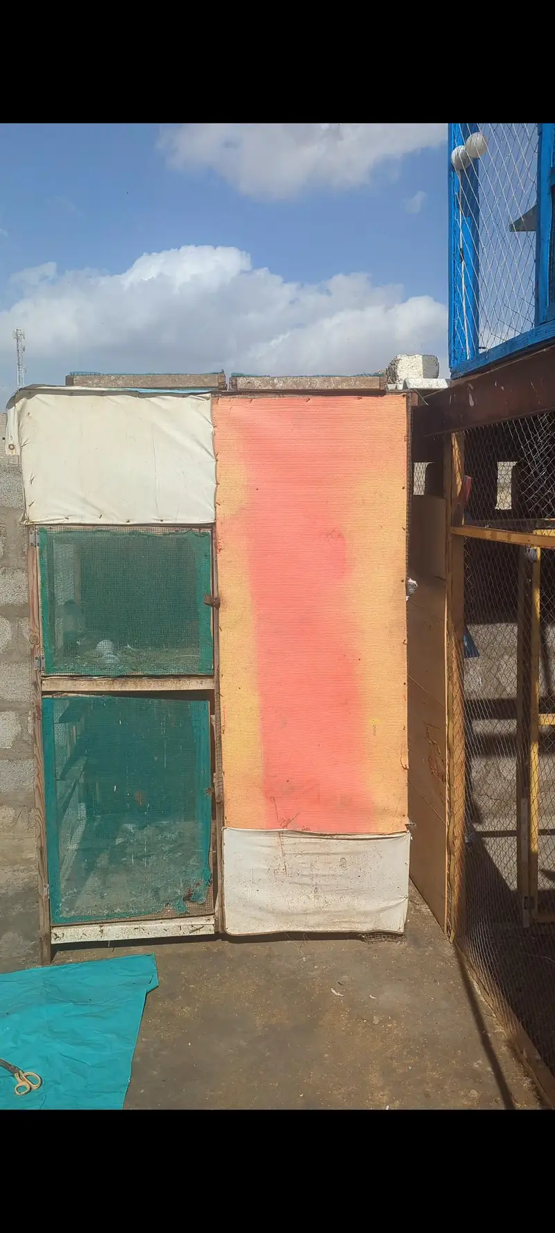 pigeon cage for sale — photo 2