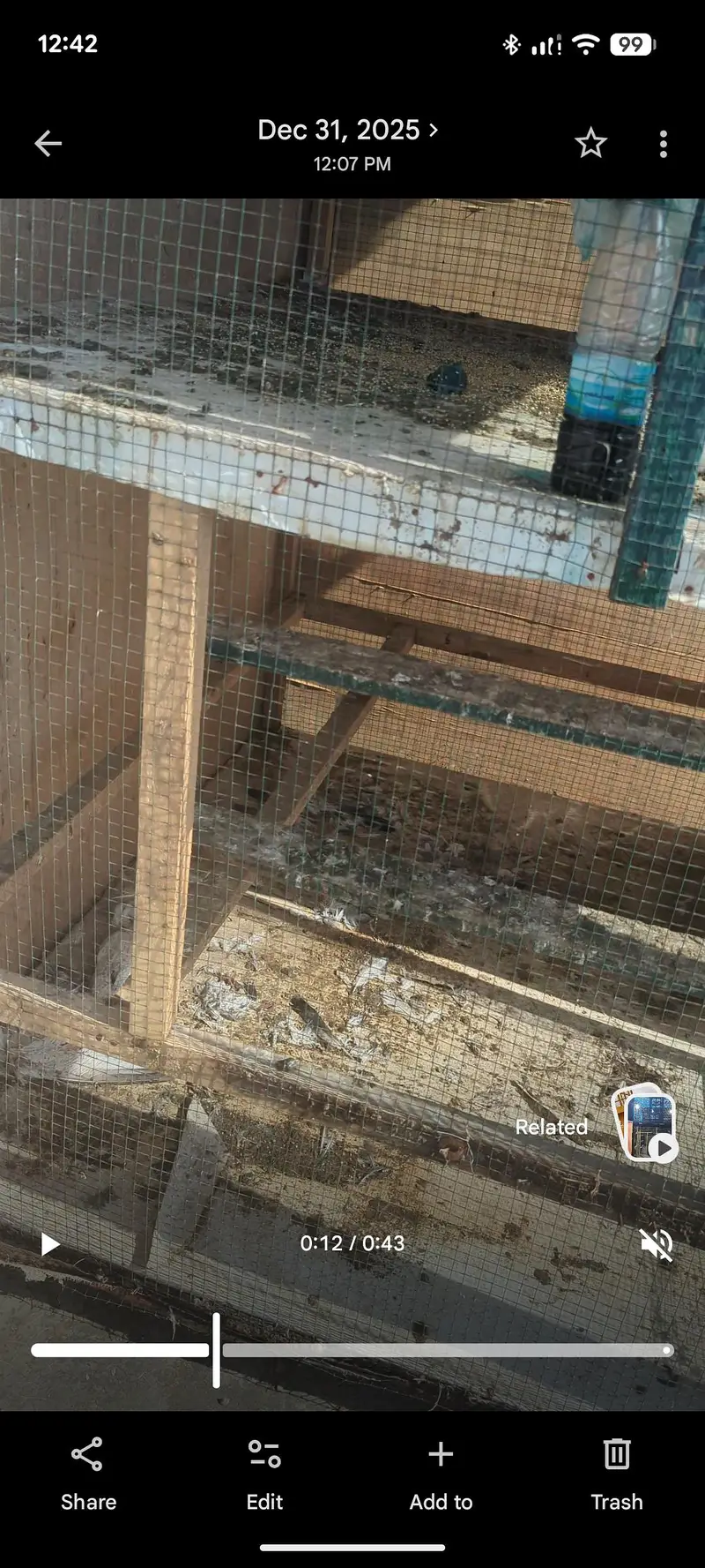 pigeon cage for sale — photo 3