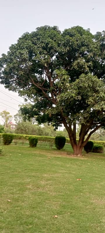 22 Marla Possession Plot X Block DHA Phase 8