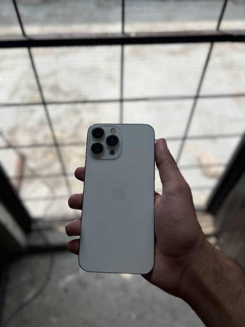 Apple iPhone 13 Pro Max 1