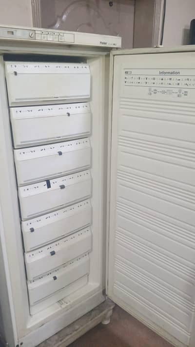 multiple freezers